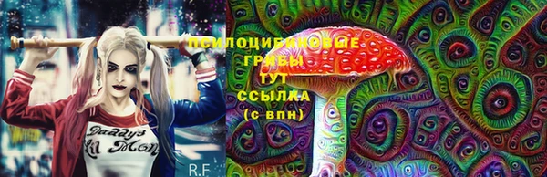 а пвп мука Бежецк