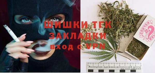 СК Мегион