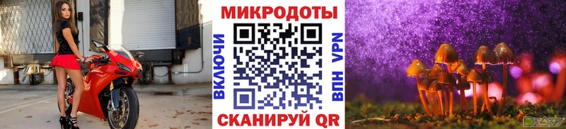 Псилоцибиновые грибы Magic Shrooms  blacksprut ССЫЛКА  площадка формула  купить наркоту  Камешково 